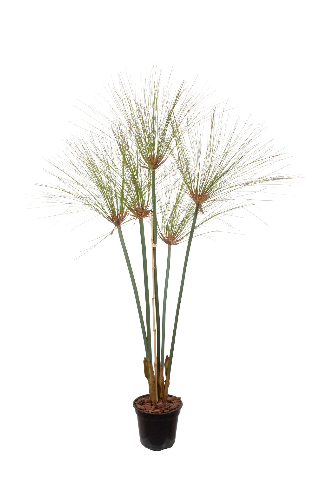 PAPIROS EM VPP, 125CM Cod: A7126