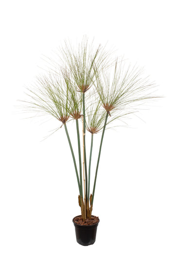 PAPIROS EM VPP, 125CM Cod: A7126