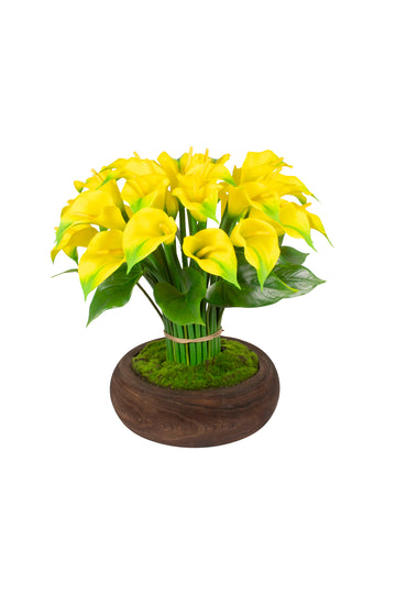 CALLAS AM EM CACHEPOT DE MADEIRA, 50CM Cod: A7127