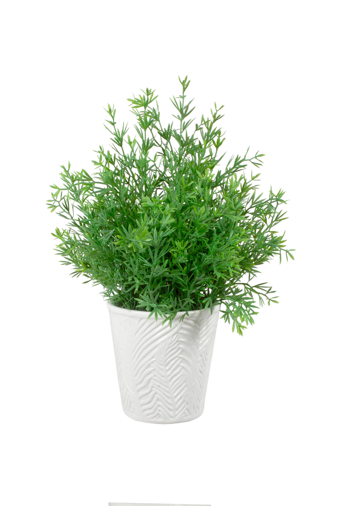 ASPARGO ALFINETE VD/ES EM CER, 30CM Cod: A7130