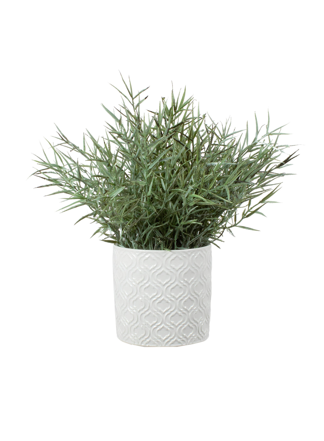 ALECRIM VD FROST EM CER, 22CM Cod: A7132