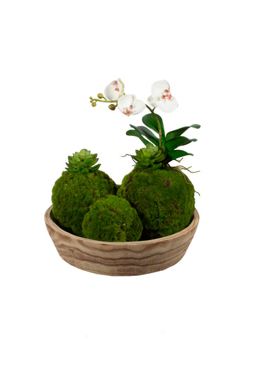 ESFERAS DE MUSGO C/ ORQUÍDEAS Cod: A7134