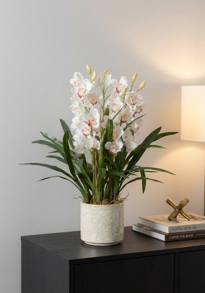 ORQ. CYMBIDIUM X8 2B 81CM BRANCA Cod: 3290WH*
