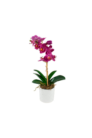 ORQ. PHALAENOPSIS FU EM CERAMICA 35CM Cod: A7144