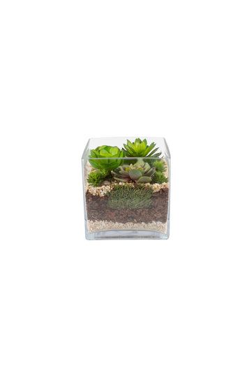 TERRÁRIO DE SUCULENTAS GR 19CM Cod: A7147