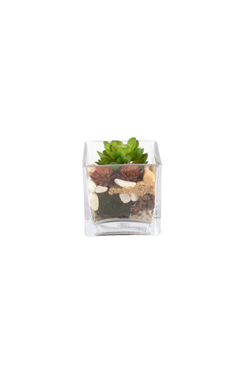 TERRARIO DE SUCULENTAS PEQ 10CM Cod: A7148
