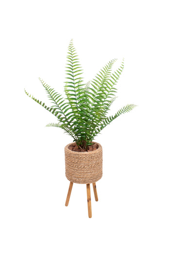 SAMAMBAIA GIGANTE NO CACHEPOT FIBRA TABOA , 140CM Cod: A7153