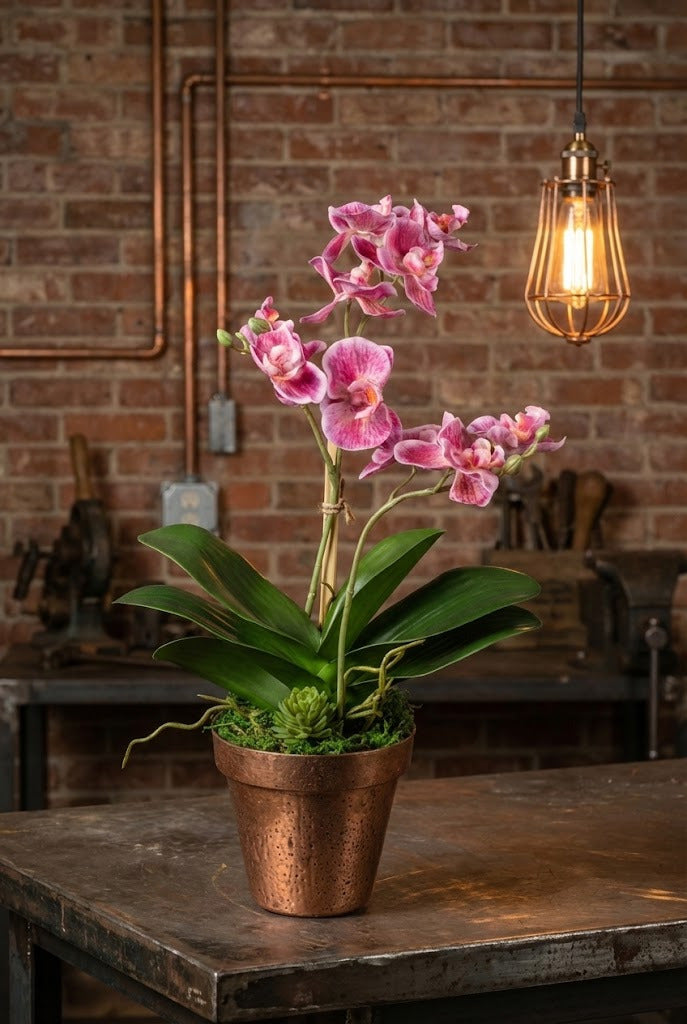 ORQ. PHALAENOPSIS MINI EM CACH. COBRE 33CM Cod: A7165