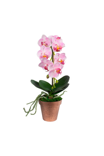 ORQ. PHALAENOPSIS ROSA EM VASO COBRE 33CM Cod: A7166
