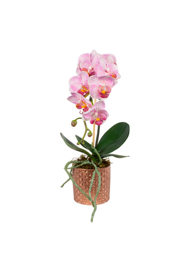 ORQ. PHALAENOPSIS ROSA EM CER. COBRE 33CM Cod: A7167