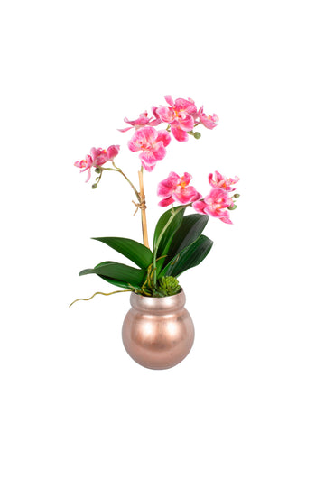 ORQ. PHALAENOPSIS MINI MAGENTA NO VIDRO COBRE, 32CM Cod: A7171