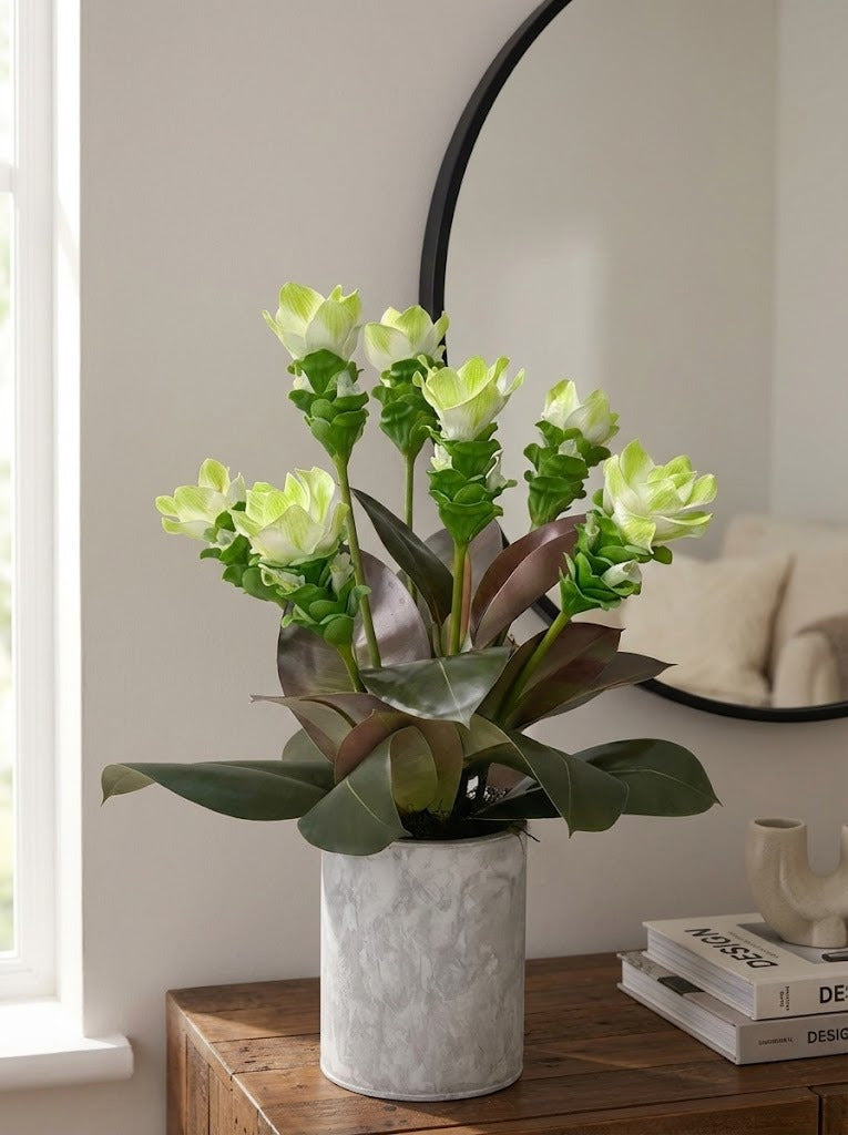 CURCUMAS BR/VD EM CACHEP CIMENTO QUEIMADO, 65CM Cod: A7174