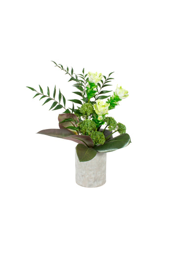 CURCUMAS BR/VD EM CACHEP CIMENTO 65CM Cod: A7174