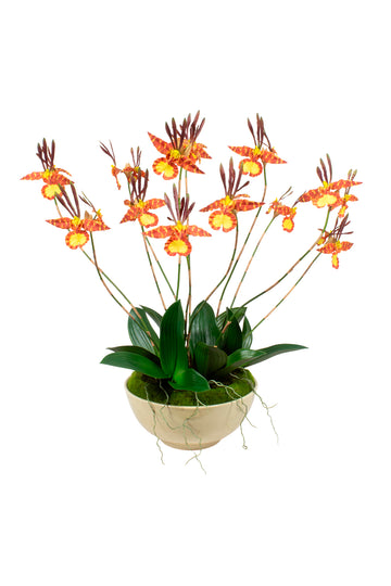 ORQ. BORBOLETA EM BOWL CER, 85CM Cod: A7176