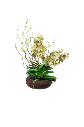 ORQ. VANDA VD X2 EM CACHEPOT MADEIRA 63CM Cod: A7190