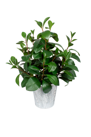 RUSCUS EM VASO PRATEADO, 50CM Cod: A7203