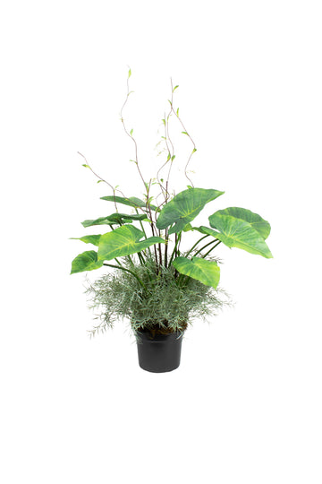 ALOCASIA E FOLHAGEM EM POTE PVC 65CM Cod: A7206VPP
