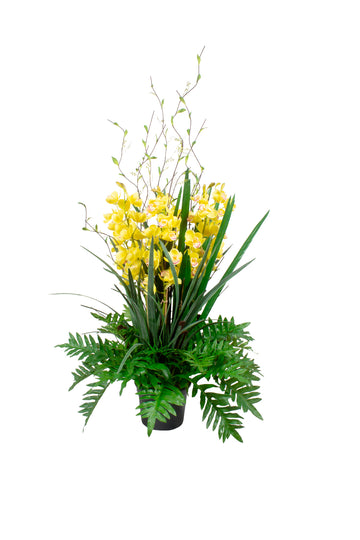 CYMBIDIUM AM/ VIMES EM POTE PVC 130CM Cod: A7207VPP