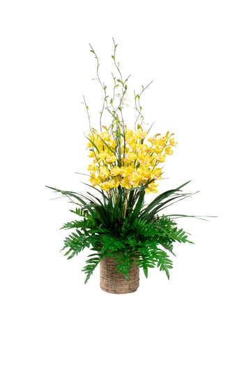 CYMBIDIUM AM/VIMES EM CACHEPOT 130CM Cod: A7207