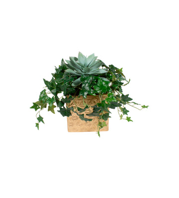 HERA E SUCULENTA EM VASO DOURADO 25CM Cod: A7218