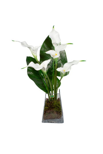 COPOS DE LEITE DUPLOS BCOS/VIDRO, 70CM Cod: A7231
