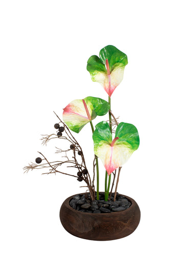 ANTURIOS IKEBANA EM CACH MADEIRA 70CM Cod: A7233
