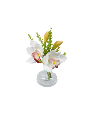 ORQ. CYMBIDIUM BR X2 EM VIDRO 20CM Cod: A7251BR