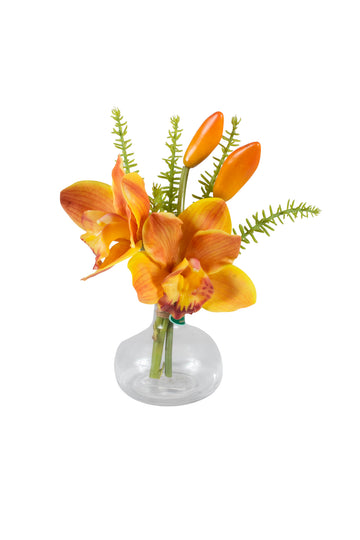 ORQ. CYMBIDIUM TE X2 EM VIDRO, 20CM Cod: A7251TE
