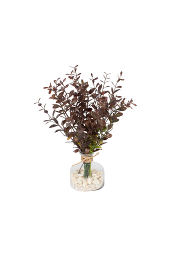 EUCALIPTO BD EM VIDRO, 36CM Cod: A7258