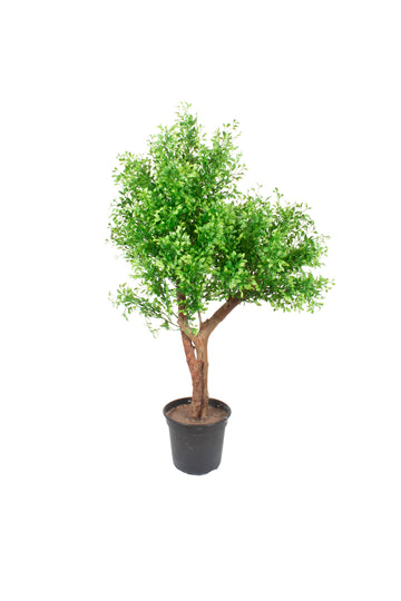ÁRVORE DE MINI RUSCUS 95CM Cod: A7268