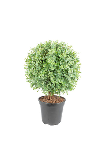 BUXINHO TOPIÁRIA 50 CM (30CM DE DIÂM) Cod: A7274