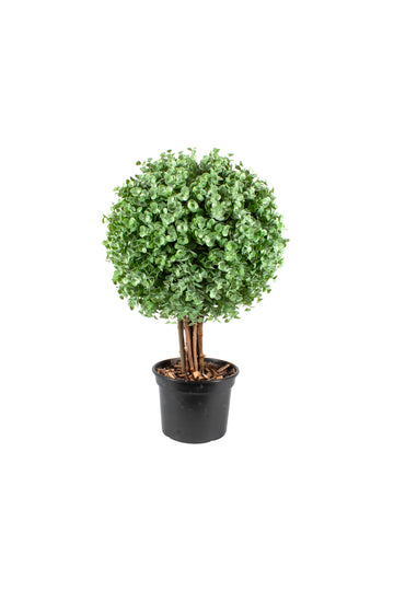 BUXINHO TOPIÁRIA 65CM (35CM DE DIÂM) Cod: A7275
