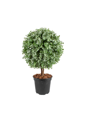 BUXINHO TOPIÁRIA 55CM ( 30CM DE DIÂM) Cod: A7276