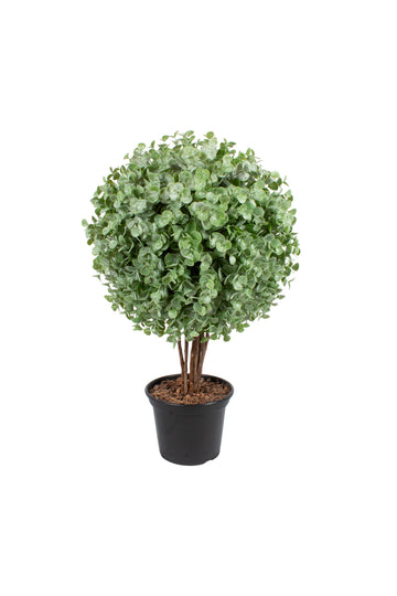 BUXINHO TOPIÁRIA 50CM ( 26CM DE DIÂM) Cod: A7281