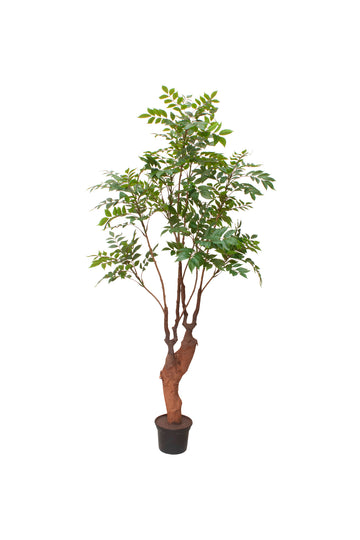 NANDINA ÁRVORE, 165CM Cod: A7283