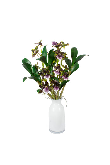 ORQ. DENDROBIUM EM VIDRO, 55CM Cod: A7292