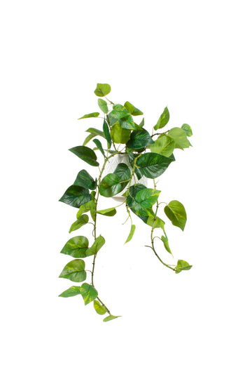 JIBÓIA EM CERÂMICA 65CM Cod: A7305