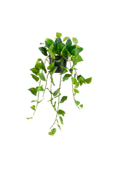 JIBÓIA VD EM POTE PVC 100CM Cod: A7307VPP