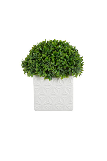 SUCULENTA MINI AEONIUM EM CERAMICA, 17CM Cod: A7310