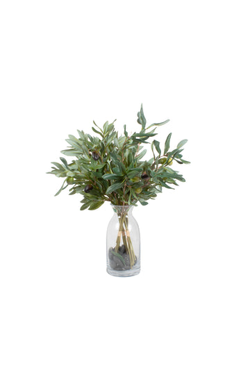 OLIVEIRA EM VIDRO, 50CM Cod: A7312