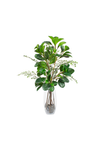 PEPERÔMIA/AVENCA EM VIDRO, 63CM Cod: A7313