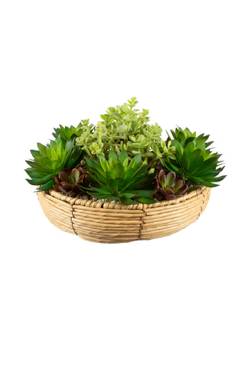 JARDIM DE SUCULENTAS EM CESTO 30CM DIAM Cod: A7321