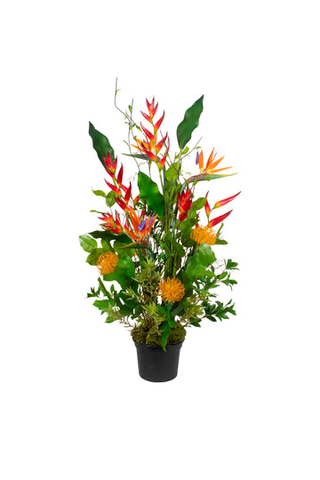 TROPICAL DE HELICONIAS C/ PROTEAS, 100CM Cod: A7325