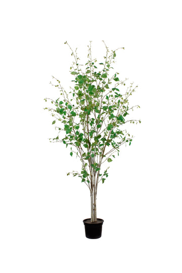 ÁRVORE DE VIDOEIRO BRANCO, 180CM Cod: A7336
