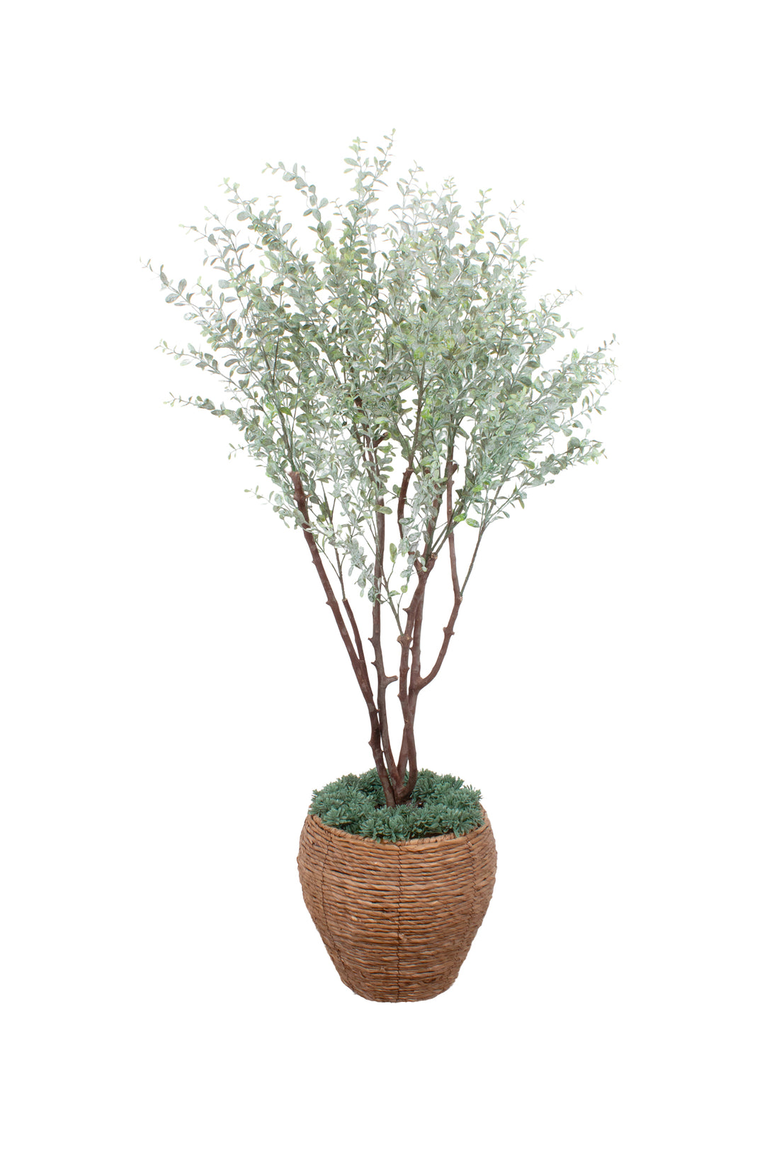 ÁRVORE DE MINI EUCALIPTOS, 1,30CM Cod: A7342