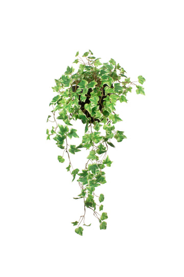 HERA HOLANDESA MATIZ. EM VPP DE PAREDE, 85CM Cod: A7344