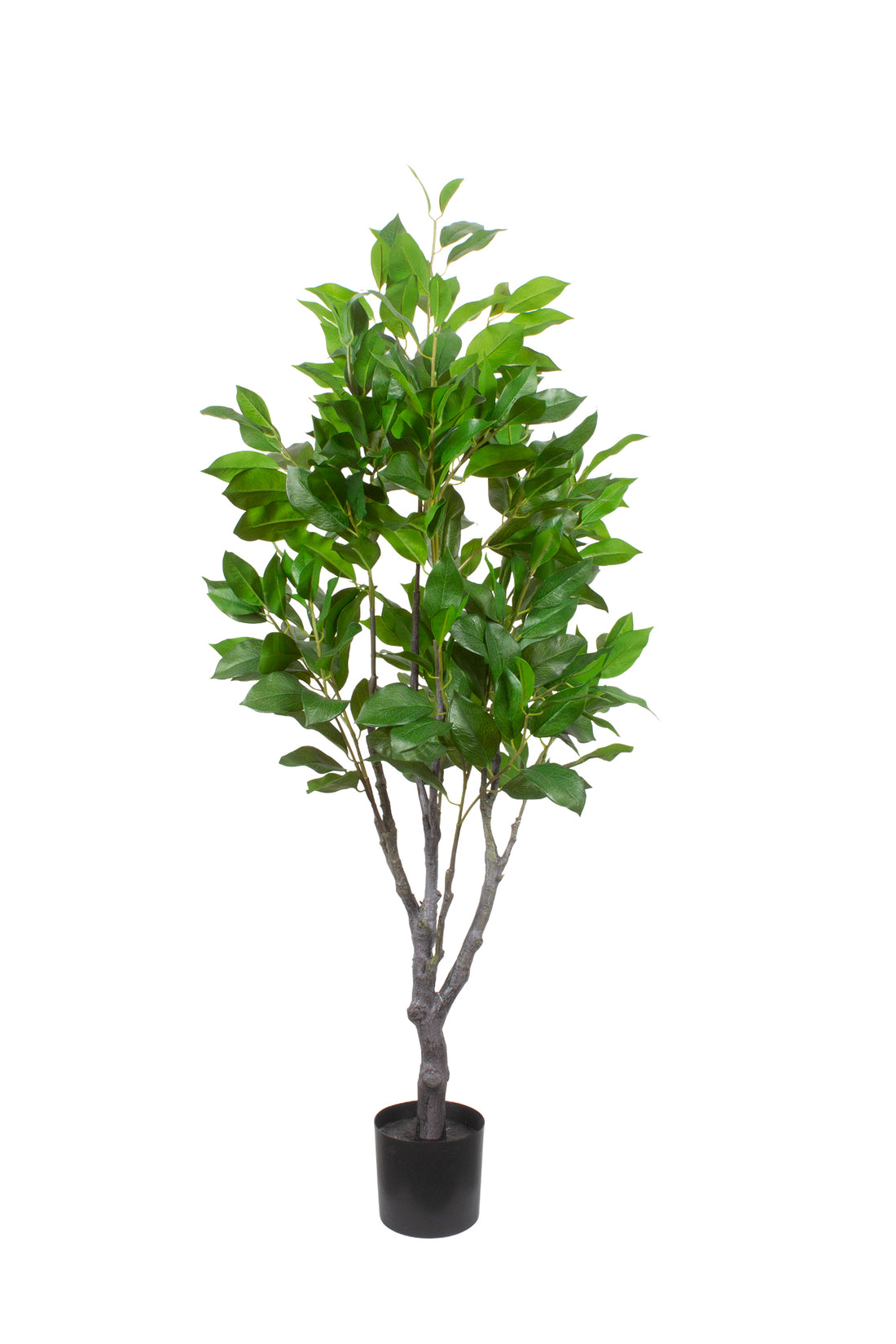 ÁRVORE DE LOURO, 115CM Cod: A7352