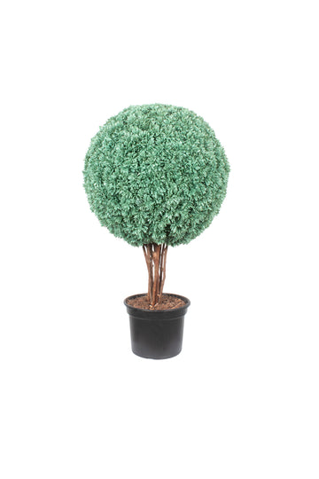 BUXINHO DE TOPIÁRIA 72CM (45CM DE DIÂM) Cod: A7358