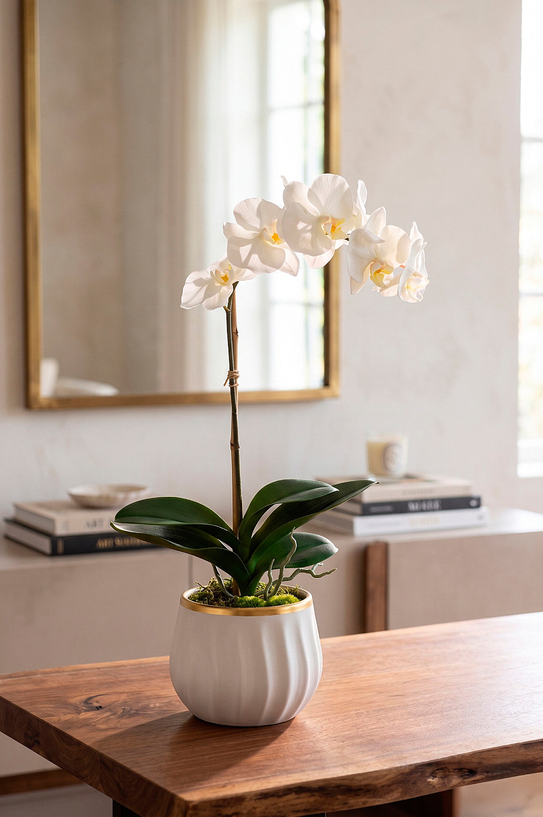 ORQ. PHALAENOPSIS TN X1 BR EM POTE PVC, 60CM Cod: A7361BR