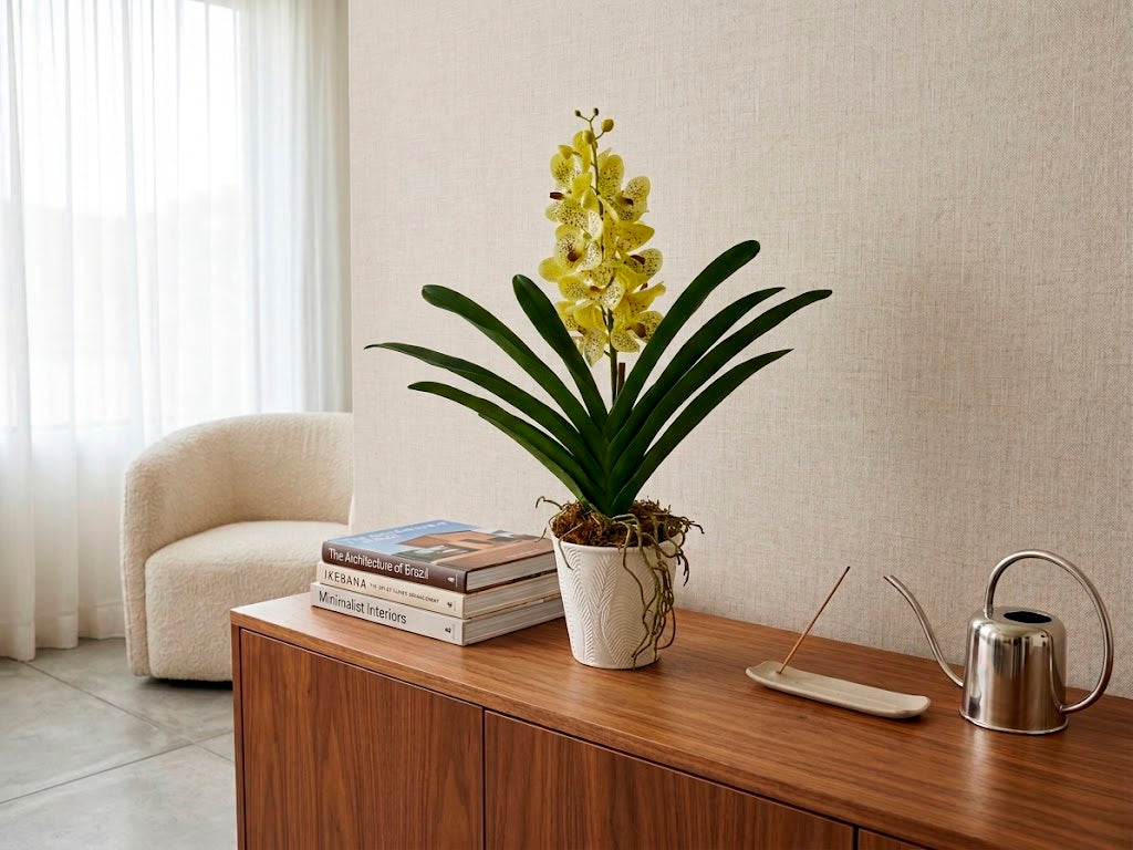 ORQ. VANDA VD  X1 EM POTE, 58CM Cod: A7364VD